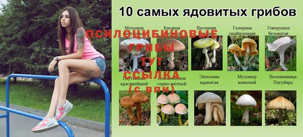 крисы Балабаново