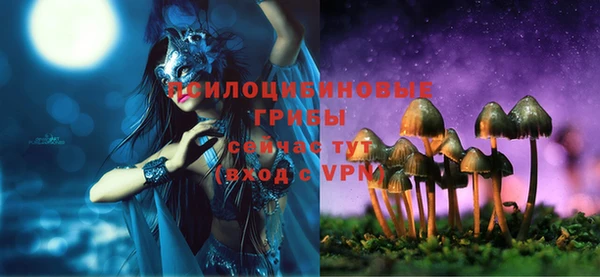мдма Белокуриха