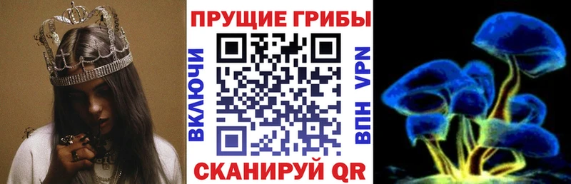 Псилоцибиновые грибы Psilocybe KRAKEN маркетплейс Славск что такое наркотик